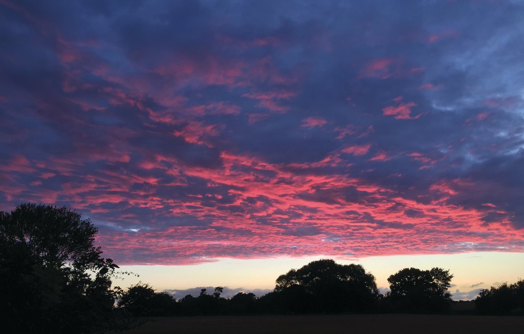 Ferienhaus - Bøsseløkke , Dänemark - E1055 16