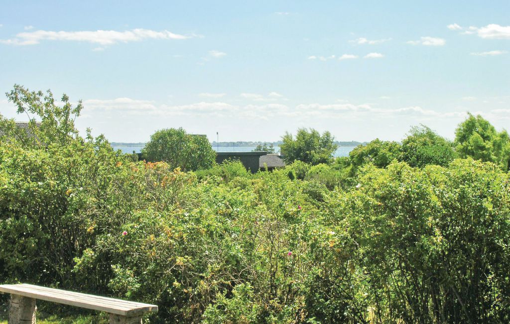 Semesterhus - Bøgebjerglund , Danmark - E1054 13