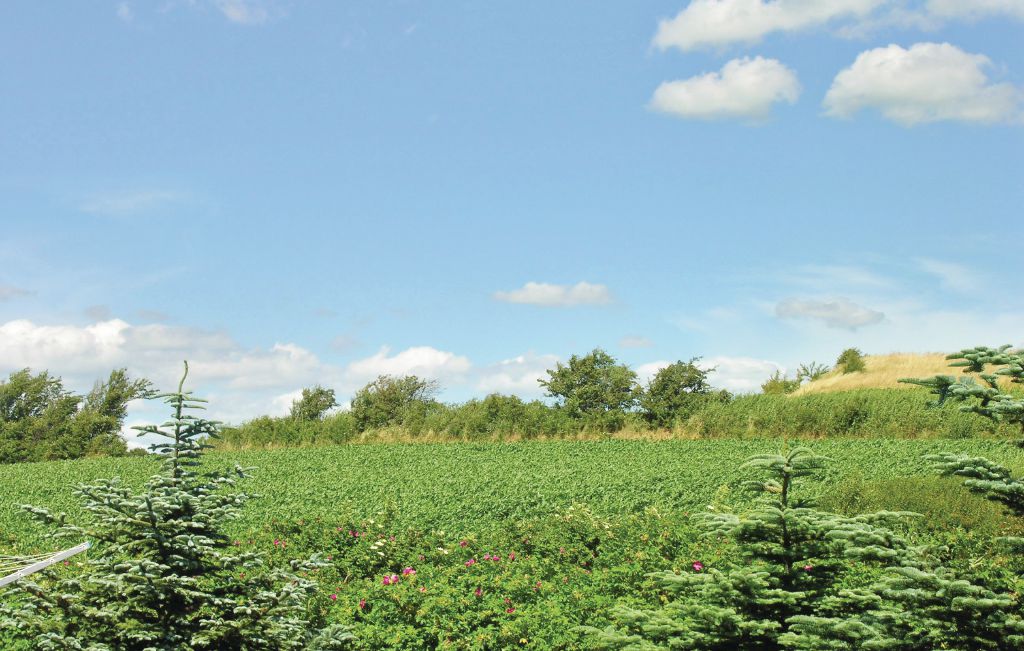Semesterhus - Bøgebjerglund , Danmark - E1054 14