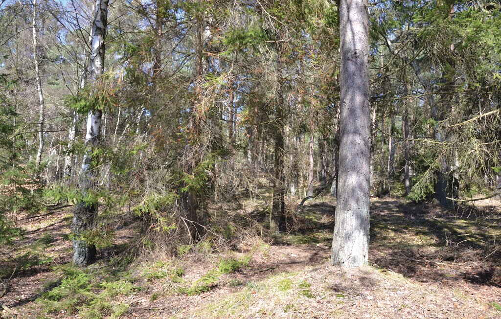 Ferienhaus - Asserbo , Dänemark - E11219 14