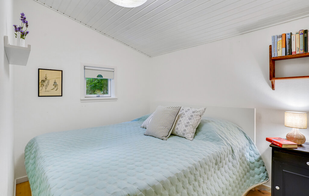 Ferienhaus - Liseleje Strand , Dänemark - E11055 24