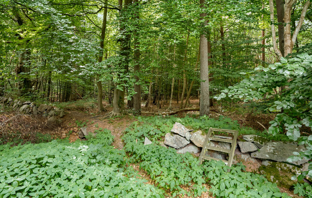 Ferienhaus - Liseleje Strand , Dänemark - E11055 20
