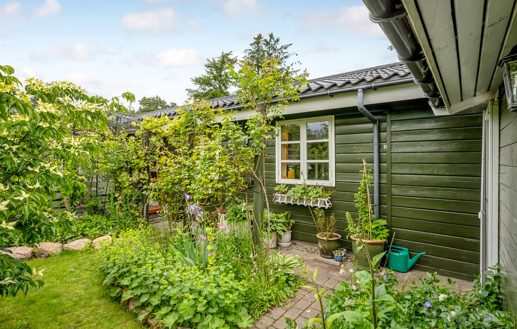 Ferienhaus - Liseleje Strand , Dänemark - E11345 14