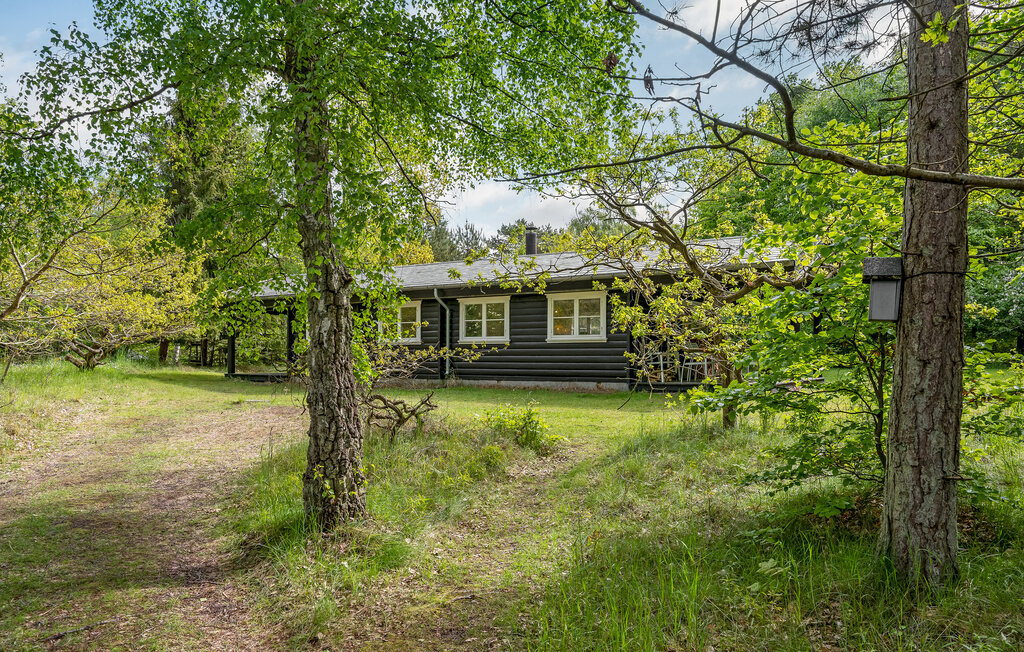 Ferienhaus - Asserbo , Dänemark - E11229 17
