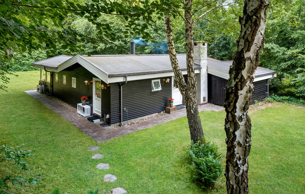 Ferienhaus - Liseleje Strand , Dänemark - E11055 12