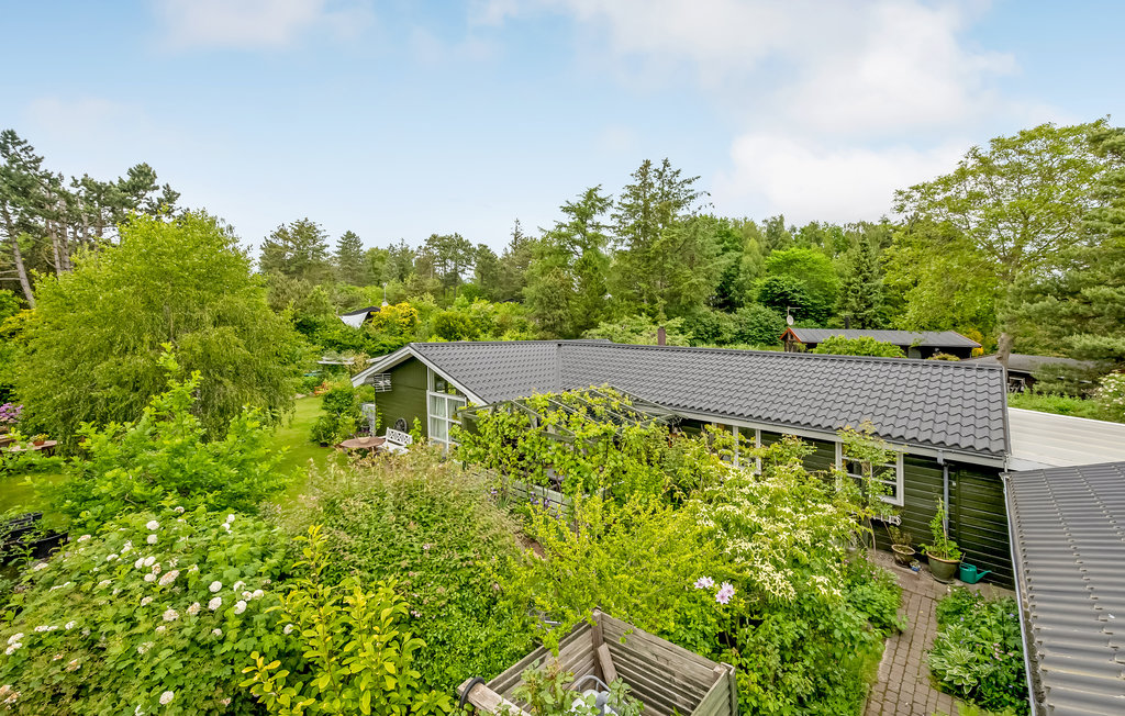 Ferienhaus - Liseleje Strand , Dänemark - E11345 9