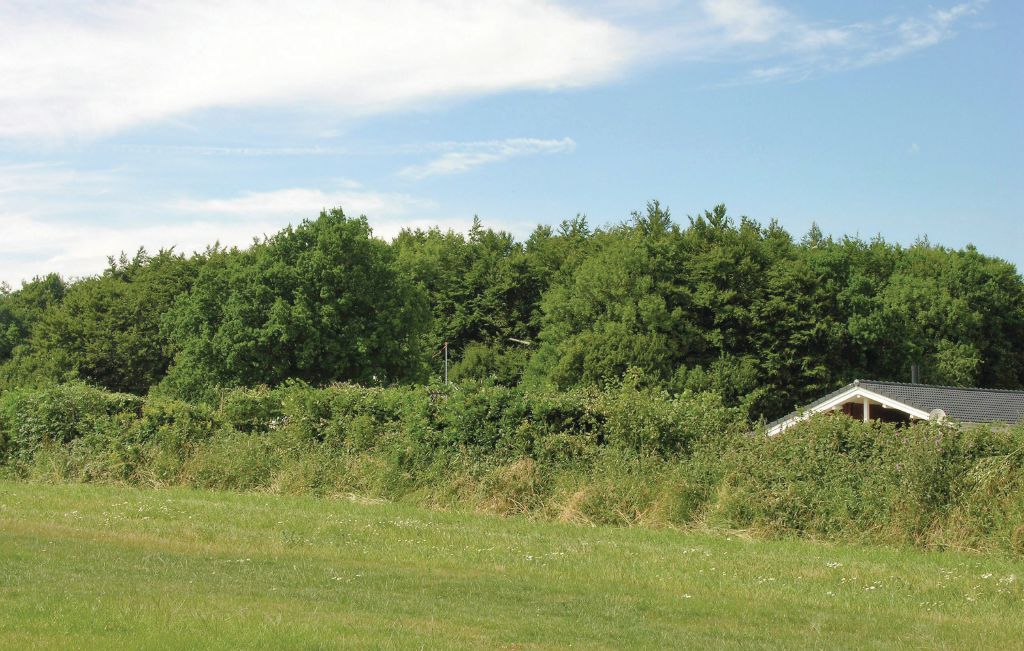 Ferienhaus - Spodsbjerg Strand , Dänemark - E1126 19