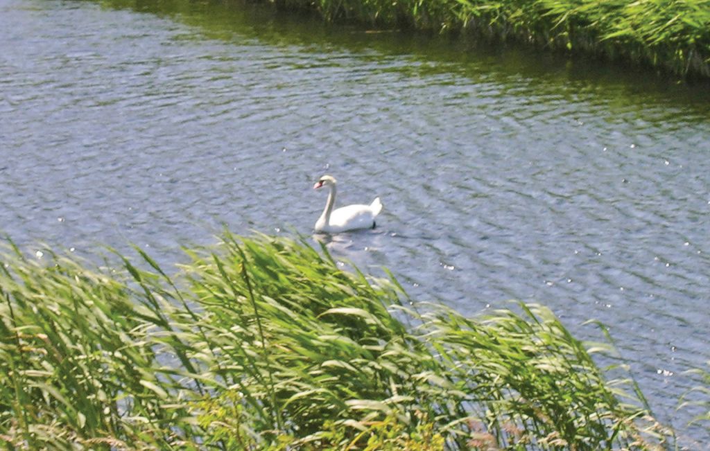 Ferienhaus - Dageløkke , Dänemark - E1124 16