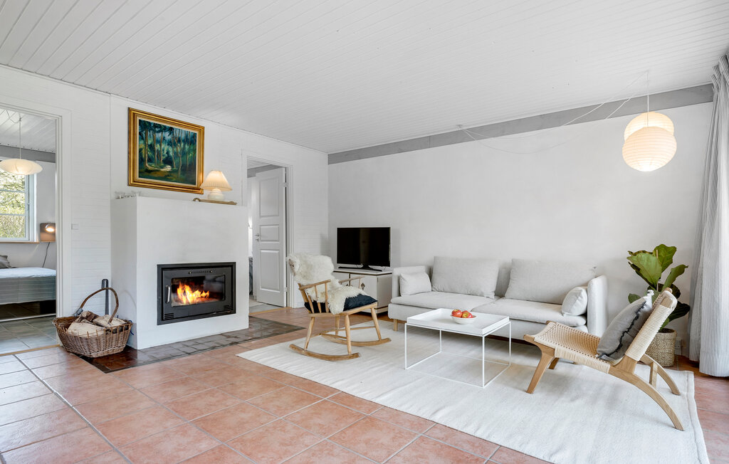 Ferienhaeuser - Hald Strand , Dänemark - E11351 4