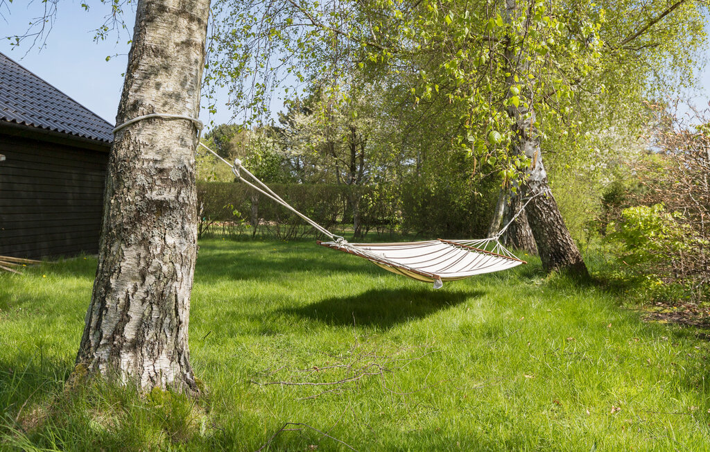 Ferienhaeuser - Hald Strand , Dänemark - E11351 9