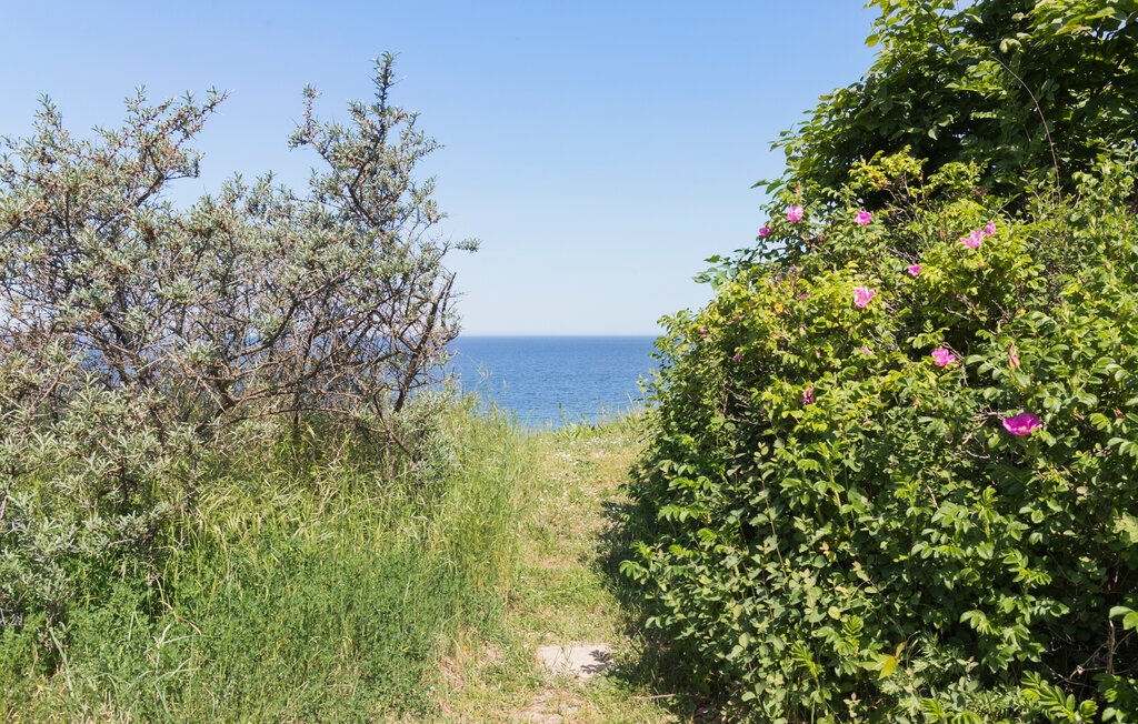 Semesterhus - Hald Strand , Danmark - E11365 13