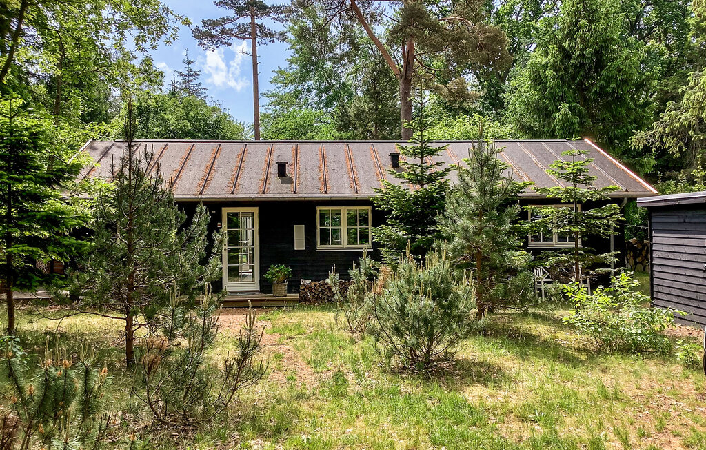 Feriehus - Liseleje Strand , Danmark - E11268 9