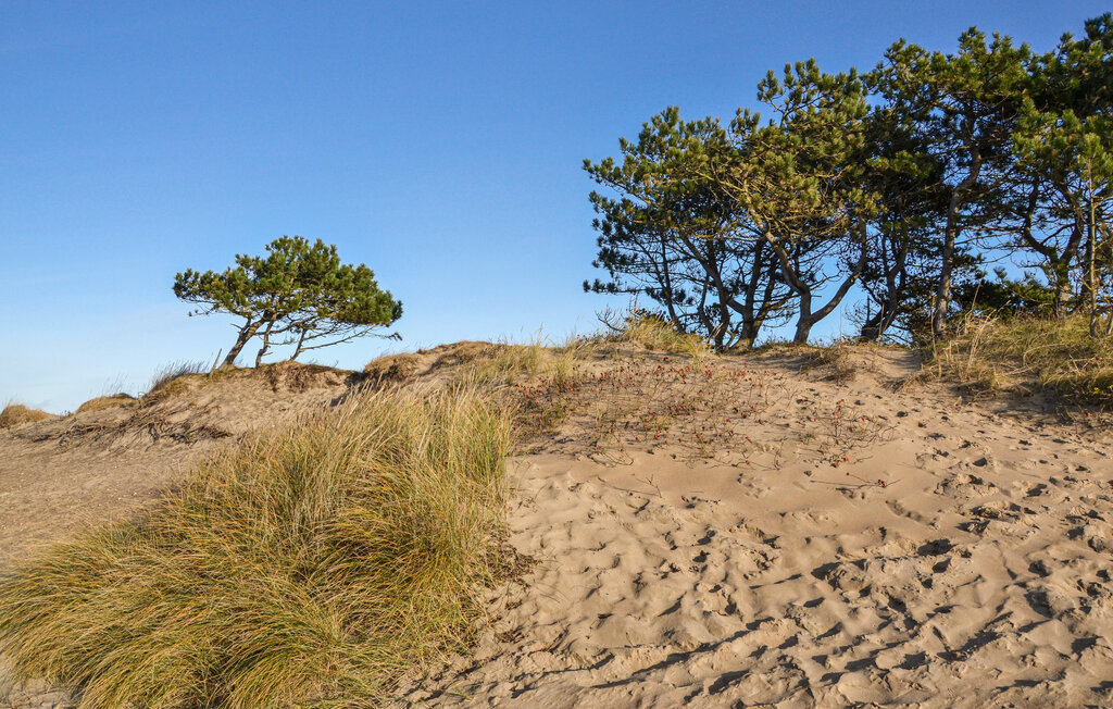 Ferienhaus - Liseleje Strand , Dänemark - E11326 19