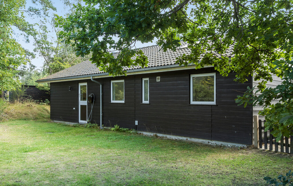 Ferienhaus - Liseleje Strand , Dänemark - E11317 11