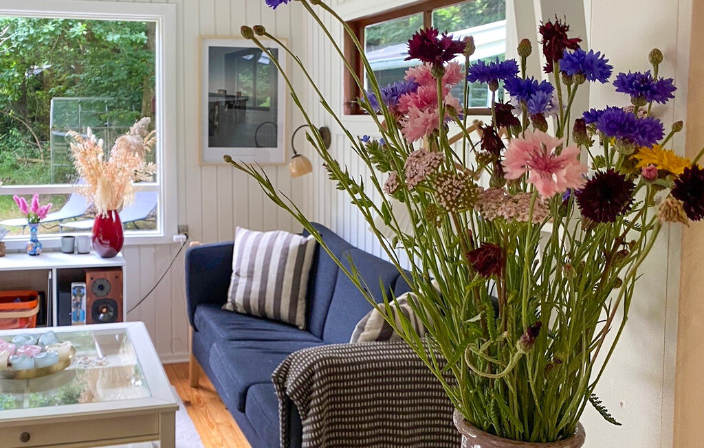 Ferienhaus - Liseleje Strand , Dänemark - E11174 3