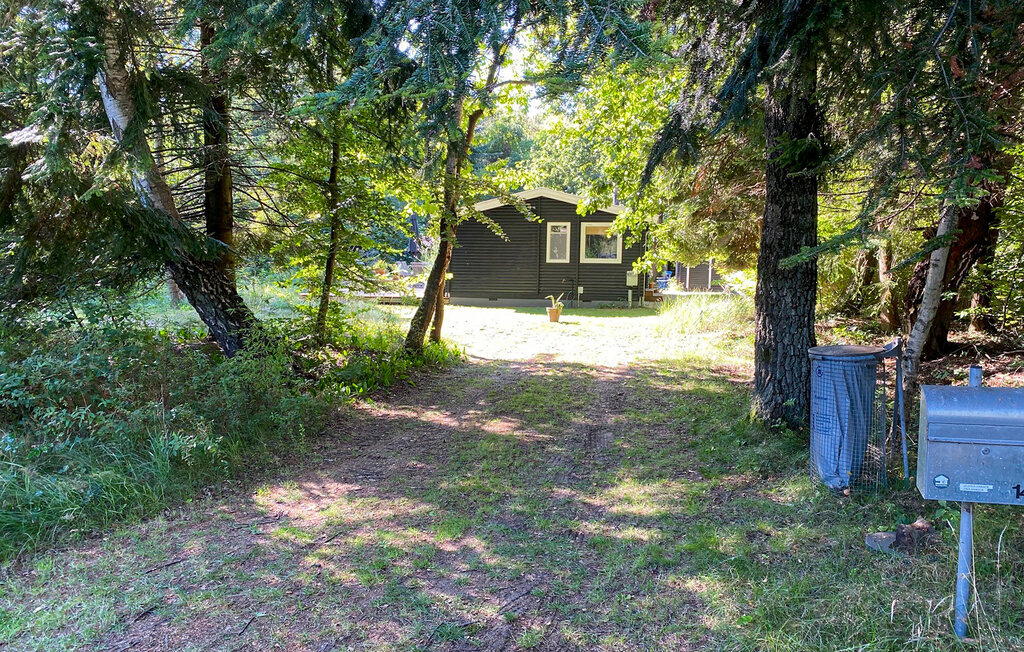 Ferienhaus - Liseleje Strand , Dänemark - E11174 9