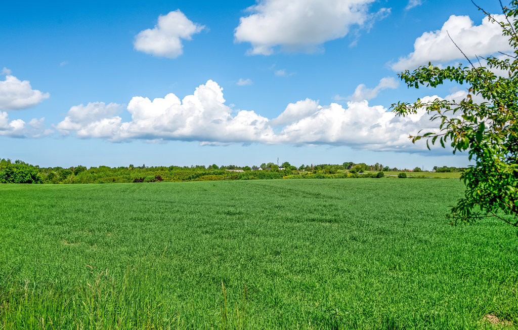 Ferienhaus - Ølsted Strand , Dänemark - E14211 9
