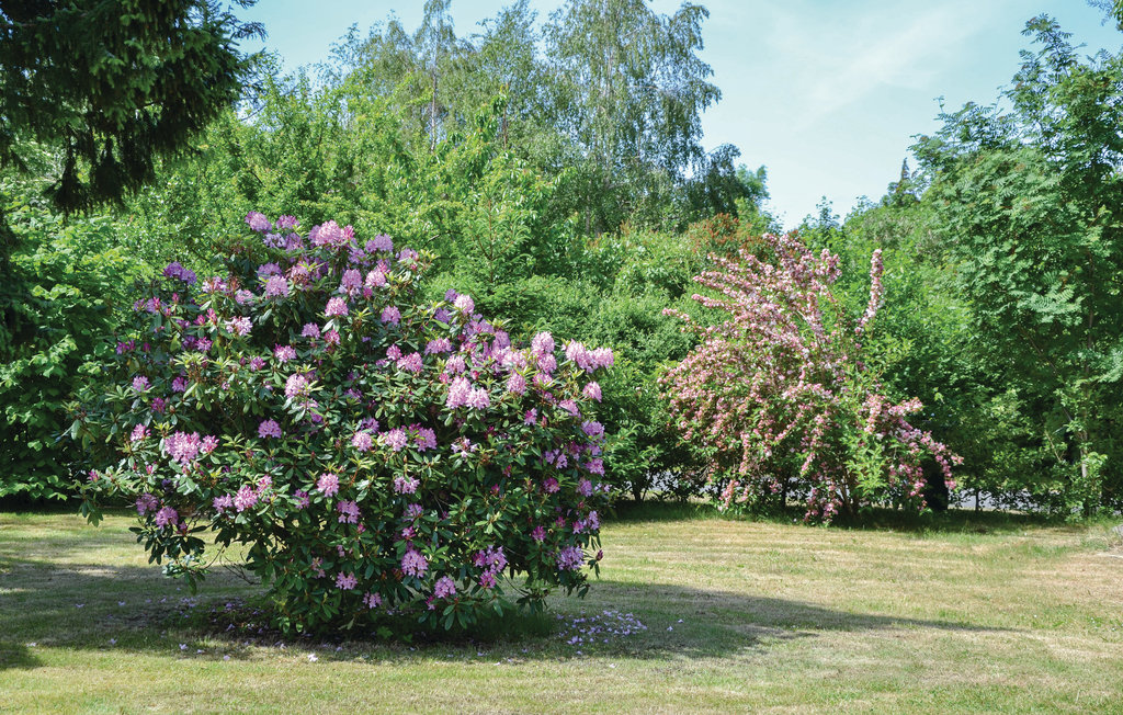 Ferienhaus - Kulhuse , Dänemark - E15055 13