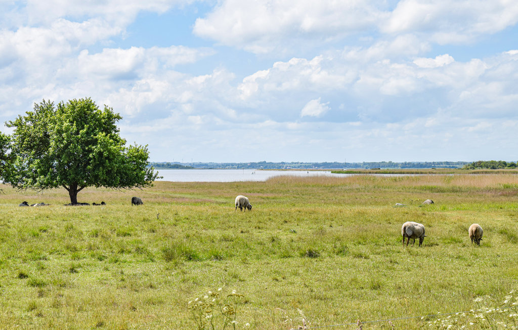 Semesterhus - Sønderby Strand , Danmark - E15465 36