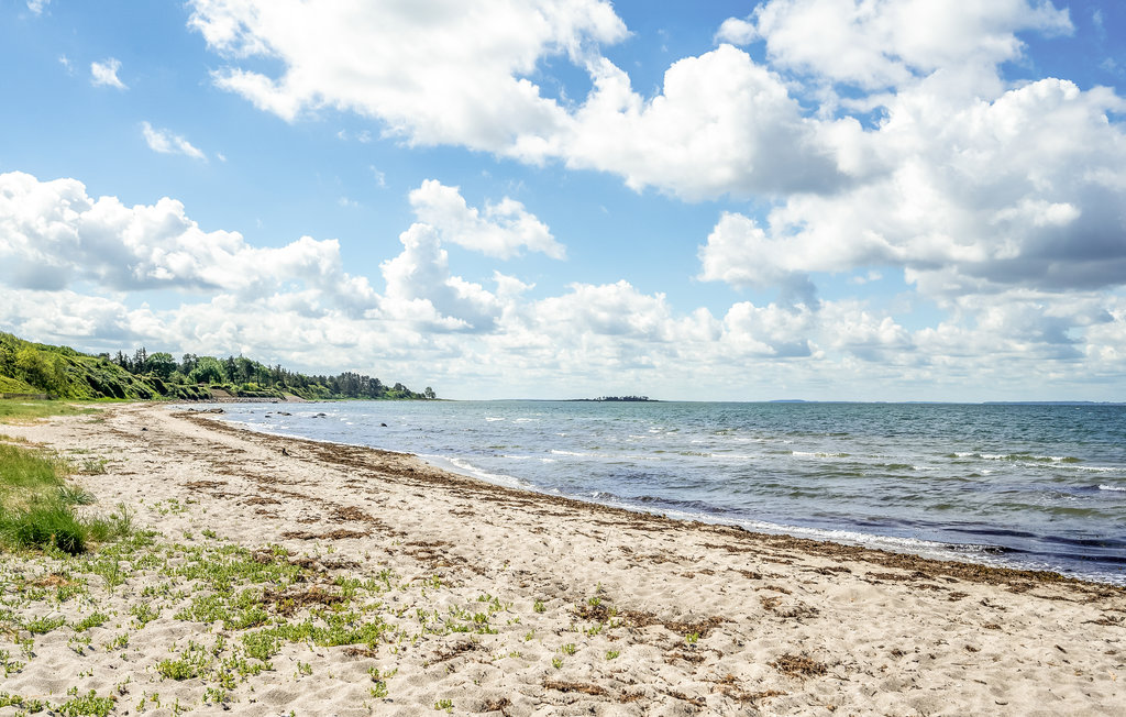 Ferienhaus - Kulhuse Strand , Dänemark - E15024 9