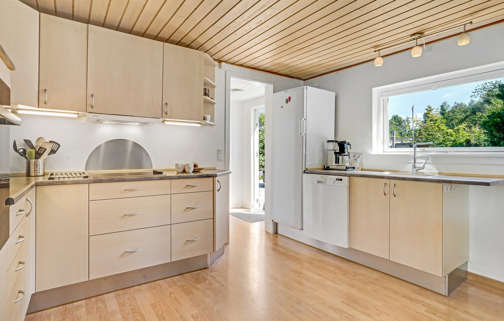 Ferienhaus - Kulhuse , Dänemark - E15021 9
