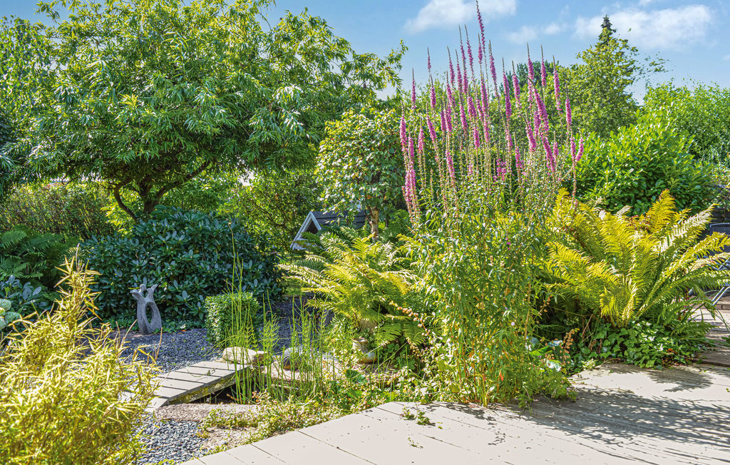 Ferienhaus - Dalby Huse , Dänemark - E15108 2