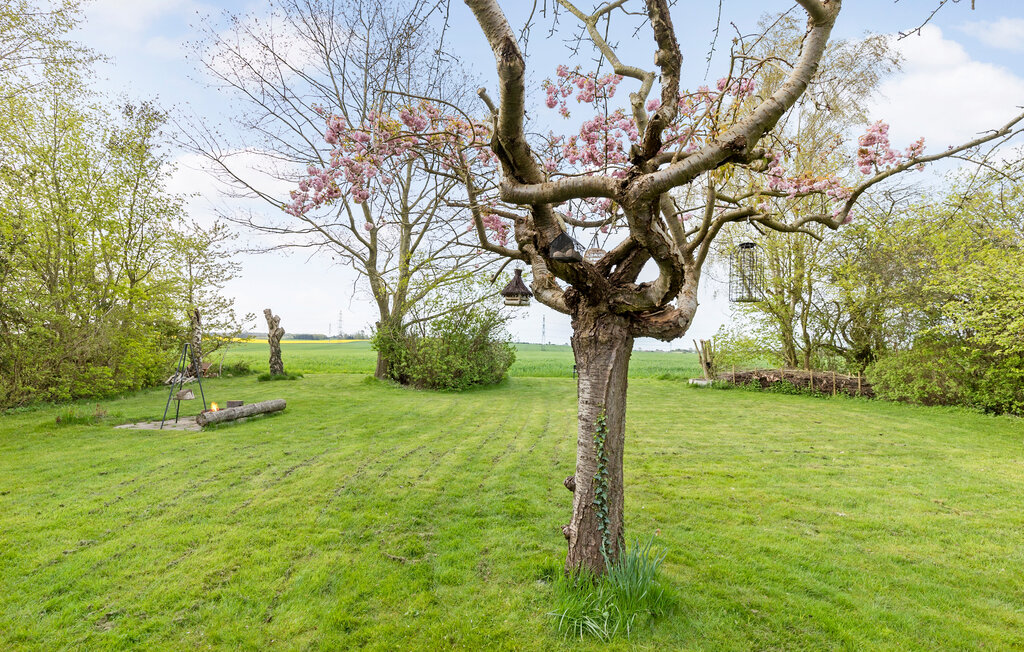 Feriehus - Dalby Huse Strand , Danmark - E15138 3