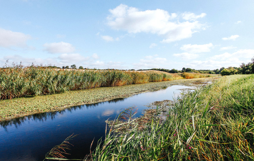 Ferienhaus - Grevinge , Dänemark - E16211 30