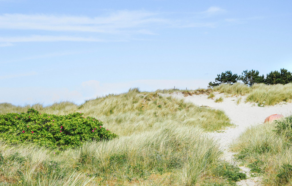 Ferienhaus - Nykøbing Sj. , Dänemark - E16017 25