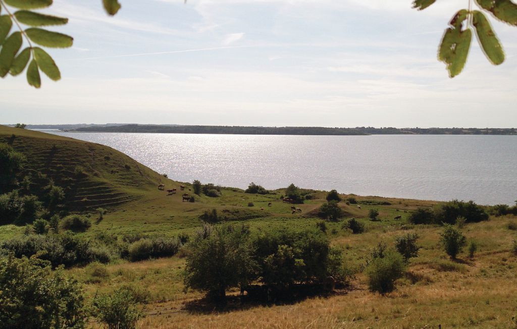 Feriehuse - Kyndeløse Sydmark , Danmark - E16892 28
