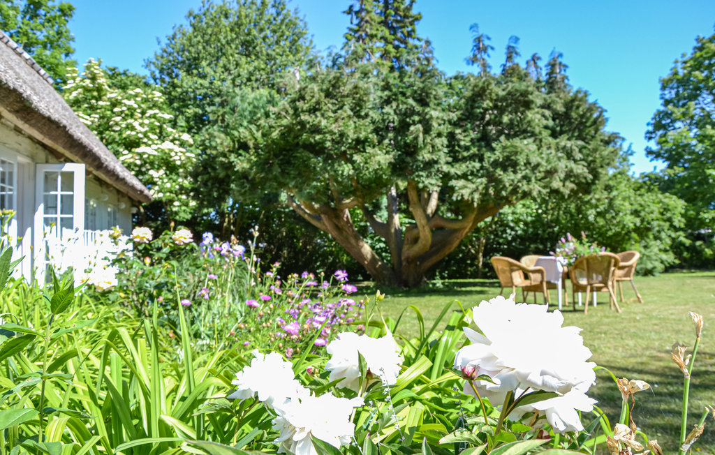 Feriehuse - Kyndeløse Nordmark , Danmark - E16864 6