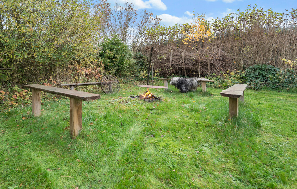 Feriehuse - Kyndeløse Sydmark , Danmark - E16504 13