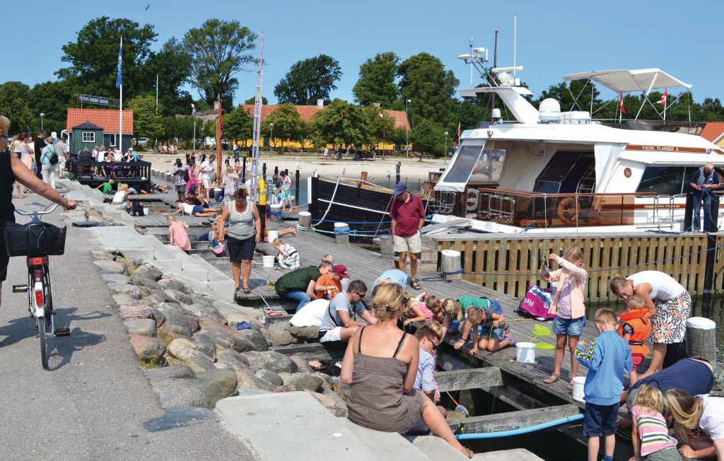 Ferienhaus - Rørvig , Dänemark - E17600 30