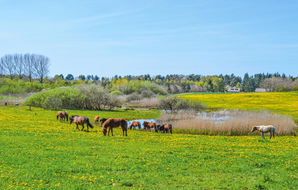 Ferienwohnung - Rørvig , Dänemark - E17720 29