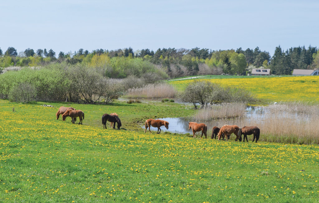 Feriehuse - Rørvig , Danmark - E17842 29