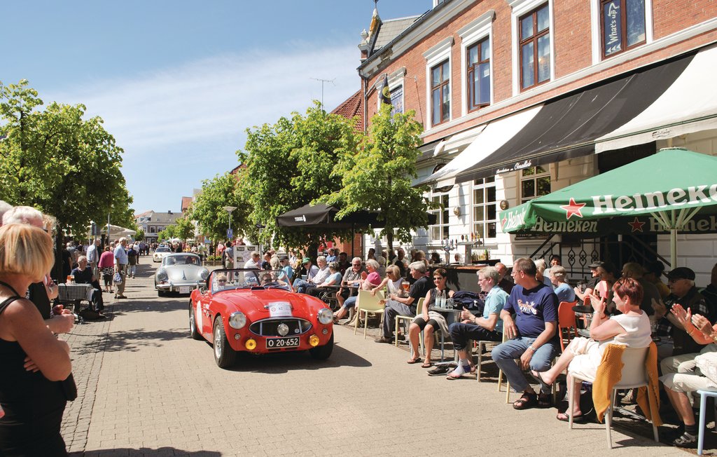 Ferienhaus - Skærby Strand , Dänemark - E17244 27
