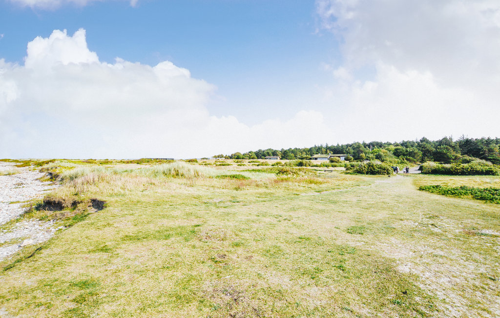 Feriehuse - Rørvig , Danmark - E17702 32