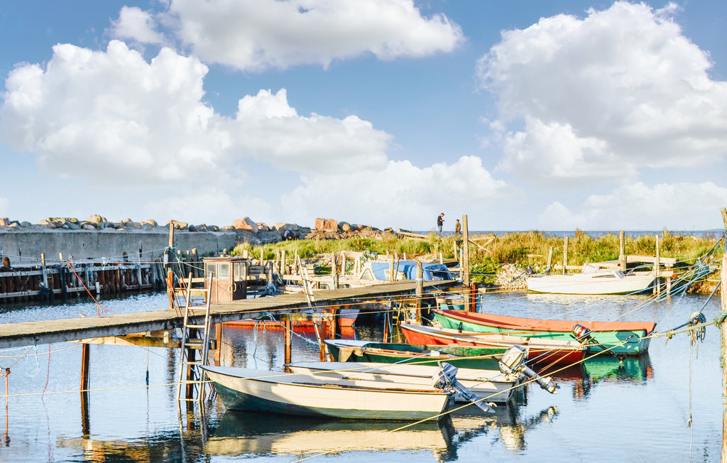 Ferienhaus - Vesterlyng , Dänemark - E17005 28