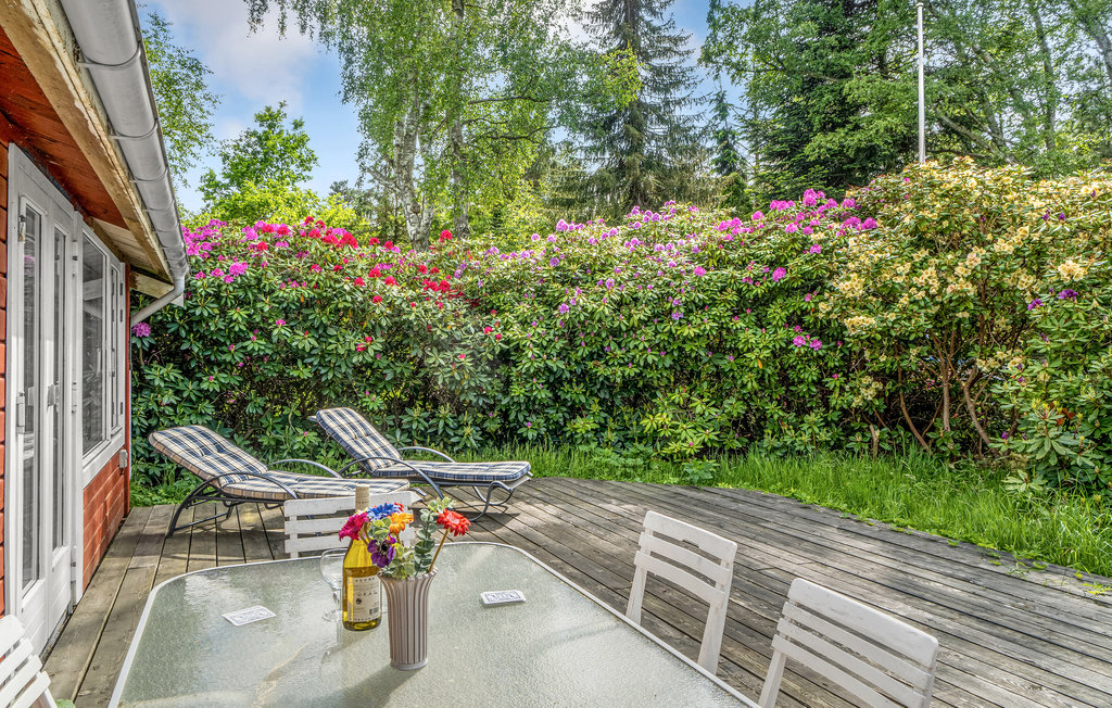 Feriehuse - Rørvig , Danmark - E17842 13