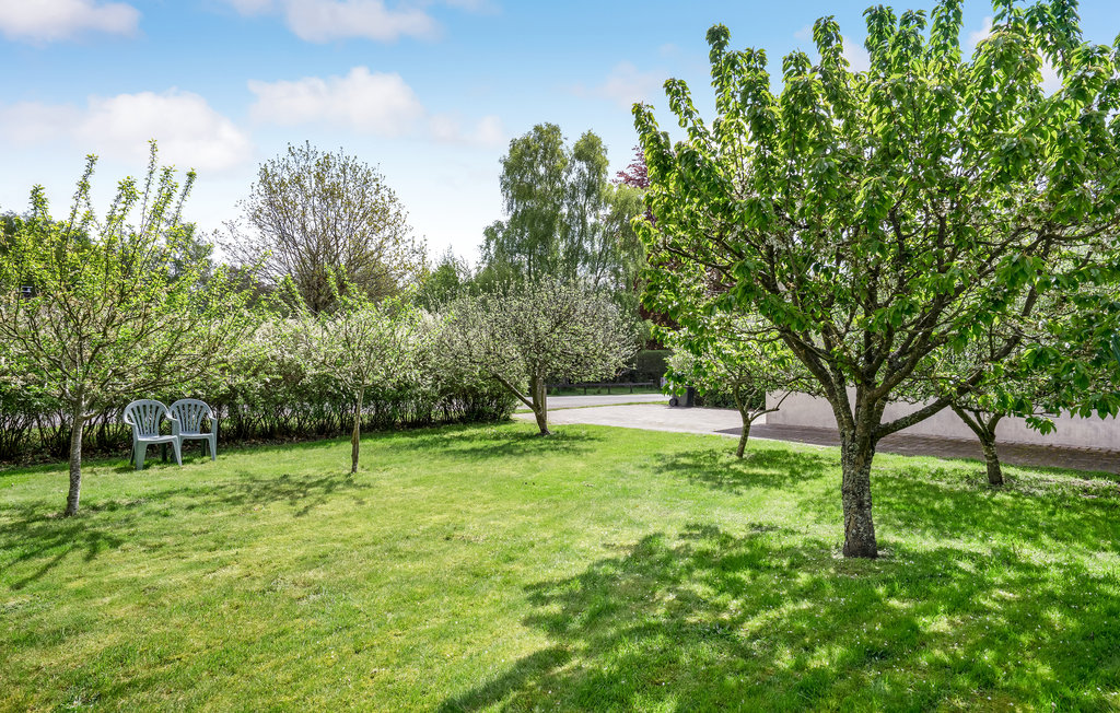 Ferienhaus - Rørvig , Dänemark - E17671 8