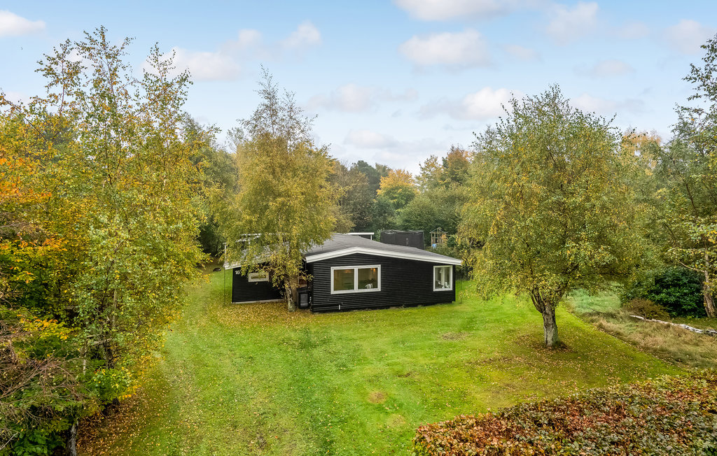 Feriehuse - Østerlyng , Danmark - E17861 11