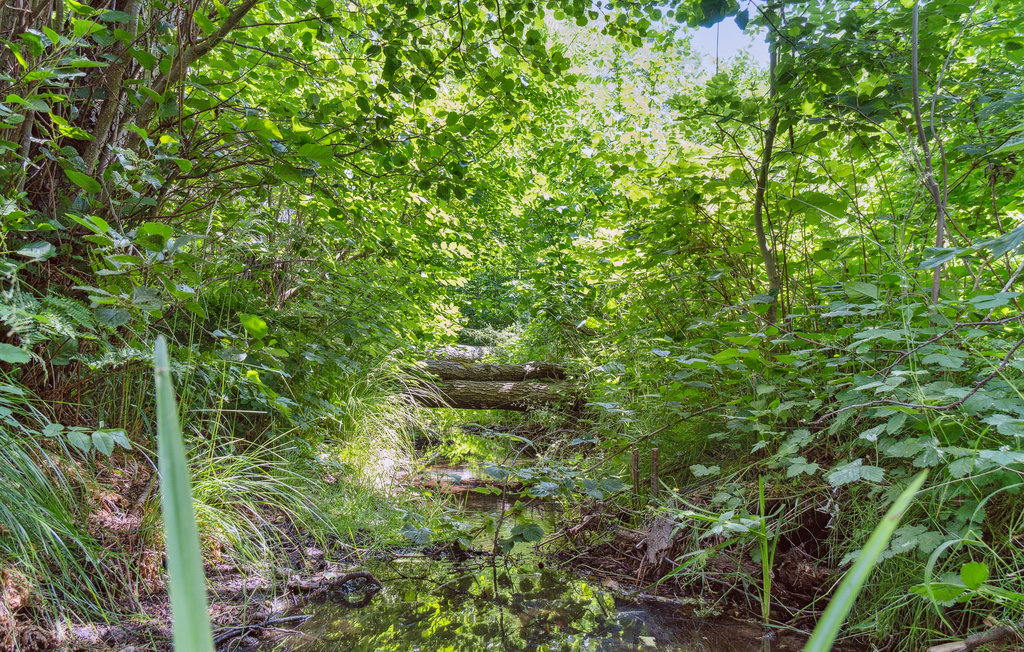 Ferienhaus - Klint , Dänemark - E17033 13