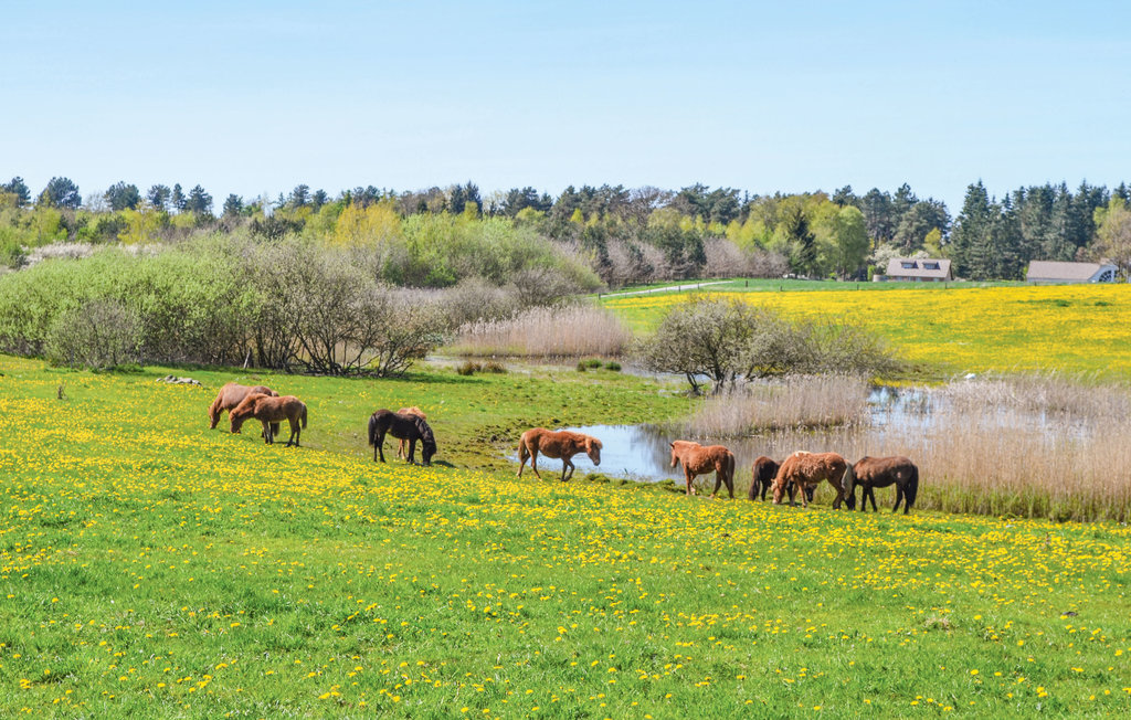 Feriehuse - Rørvig , Danmark - E17851 26