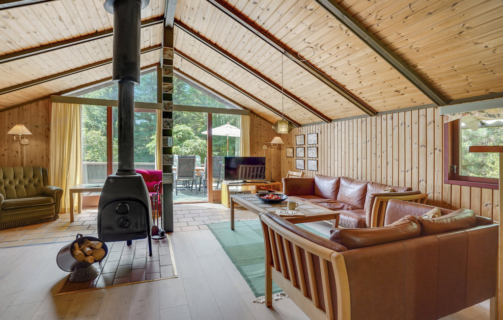 Feriehuse - Tengslemark Lyng , Danmark - E18717 3