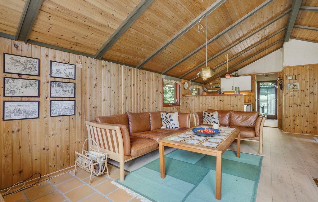 Feriehuse - Tengslemark Lyng , Danmark - E18717 4