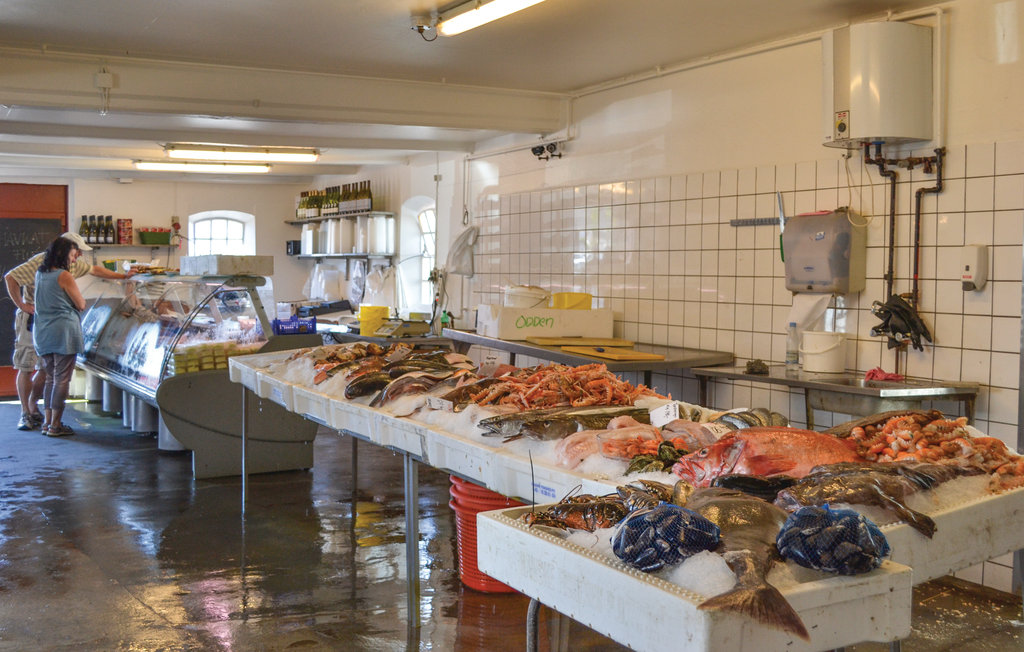 Feriehuse - Tengslemark Lyng , Danmark - E18775 26