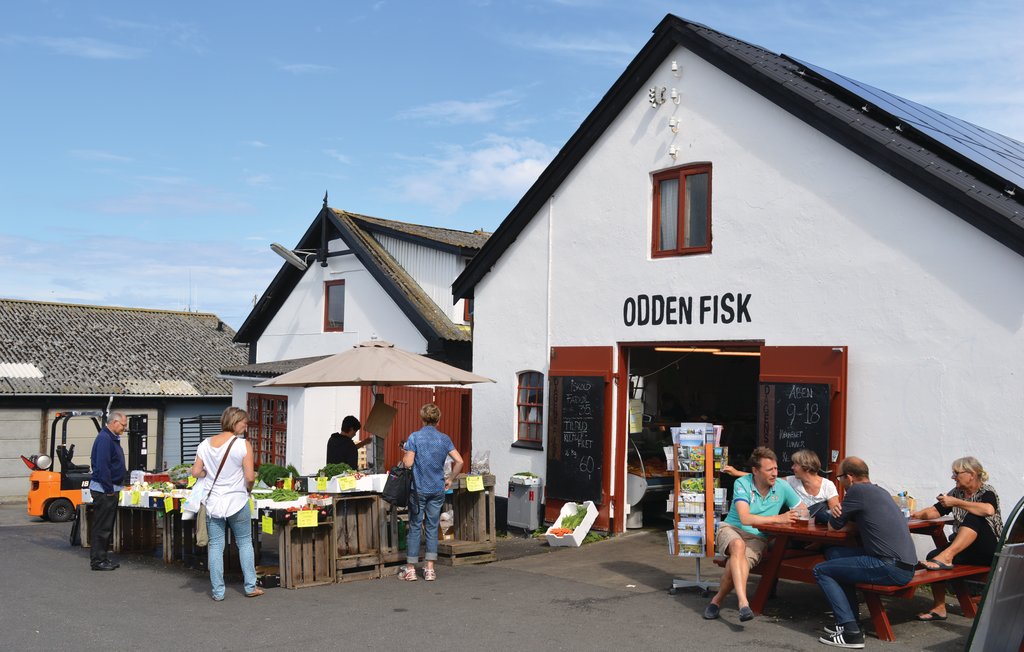 Feriehus - Overby Lyng , Danmark - E18291 30