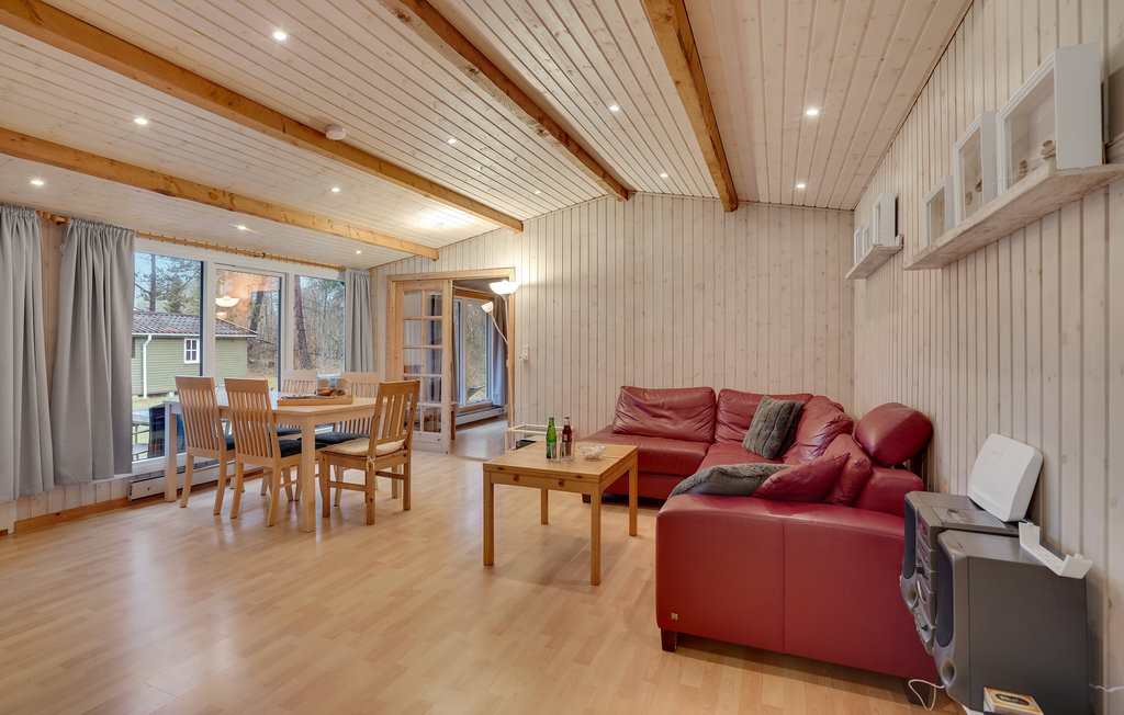 Feriehuse - Tengslemark Lyng , Danmark - E18744 4