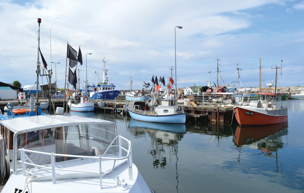 Ferienhaus - Sj.Odde , Dänemark - E18287 19