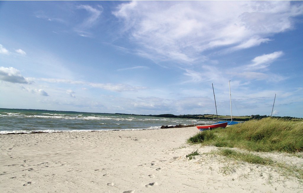 Feriehuse - Tengslemark Lyng , Danmark - E18717 18